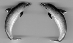 Дельфины серебро с эмалью ST176